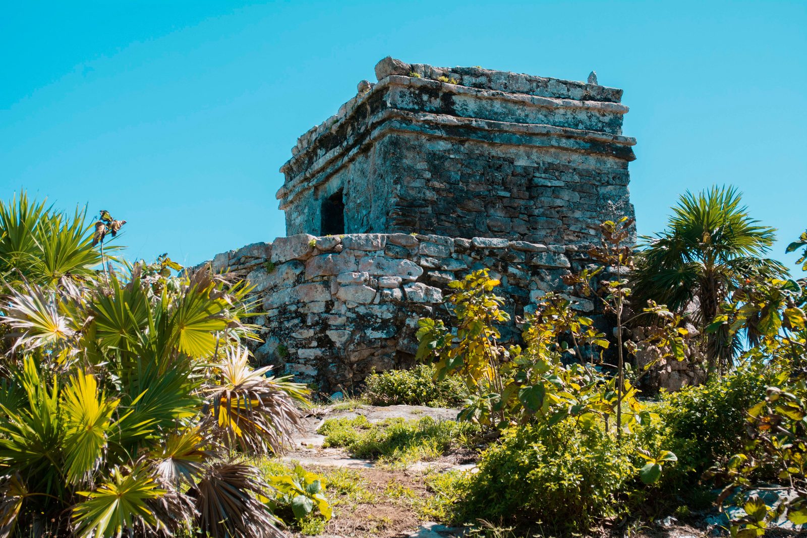 Ancient Mayan temple stonework framed by jungle at Tulum