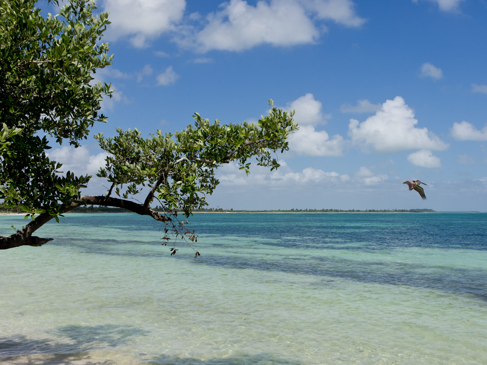 Sian Ka'an Biosphere Reserve — lush nature near Tulum